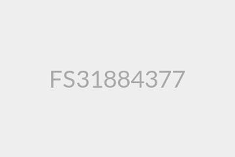 FS31884377s