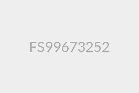 FS99673252
