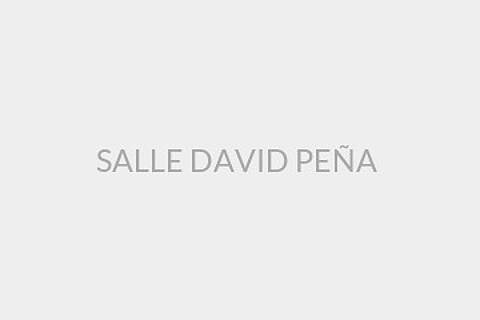 SALLE DAVID PEÑA 