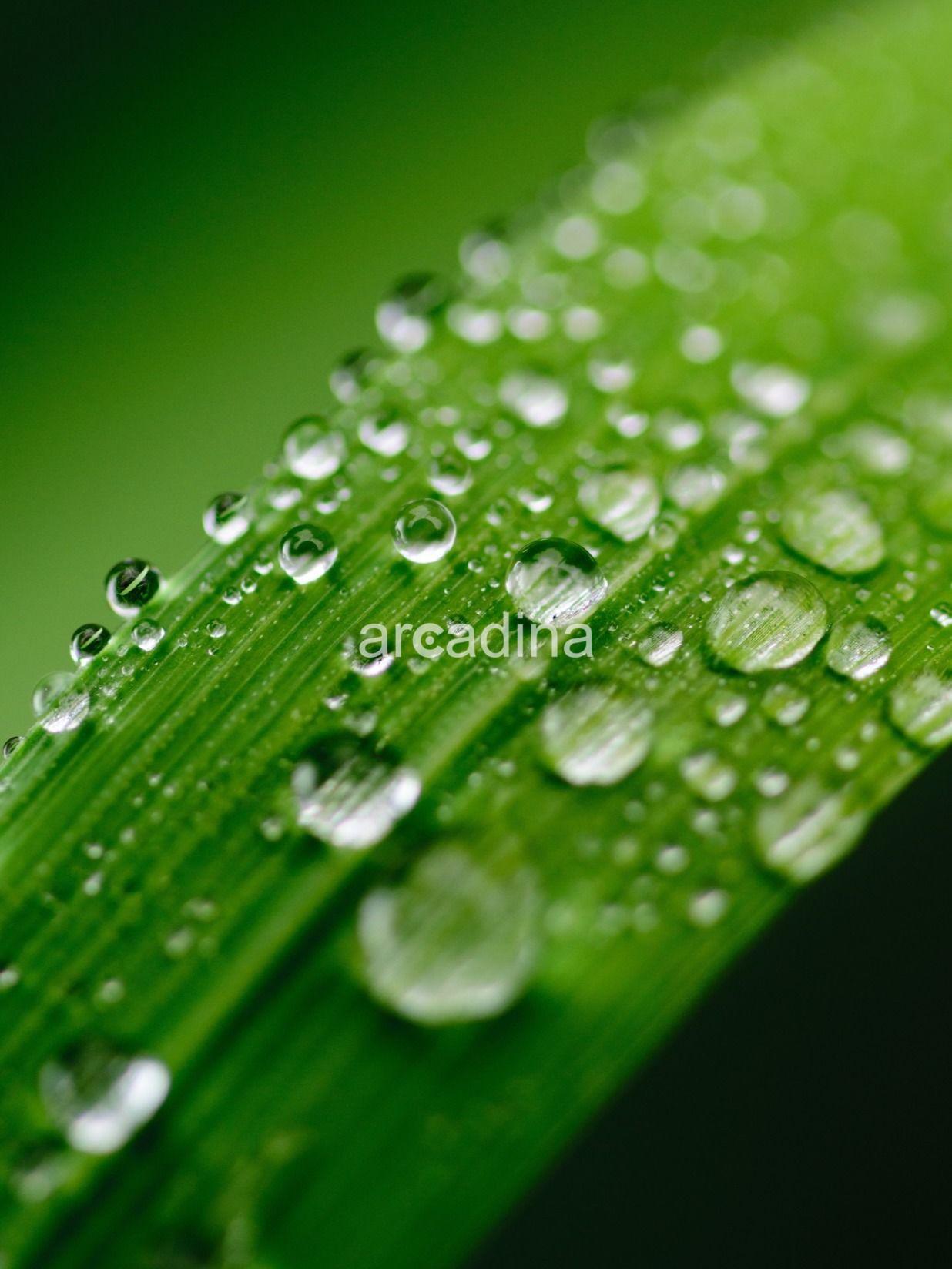 - blur-bright-clean-459369.jpg