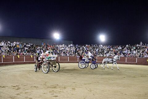 1048 Novillada 09-09-2024