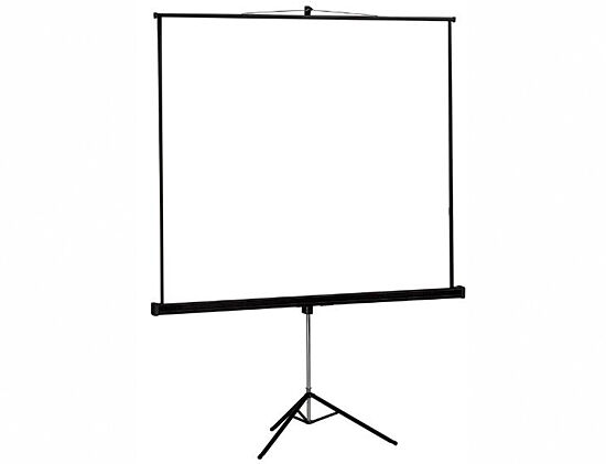 visualcala - pequen-a-ts20251116215319235219.jpg