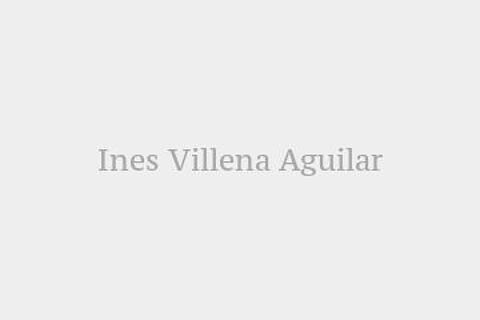 Ines Villena Aguilar