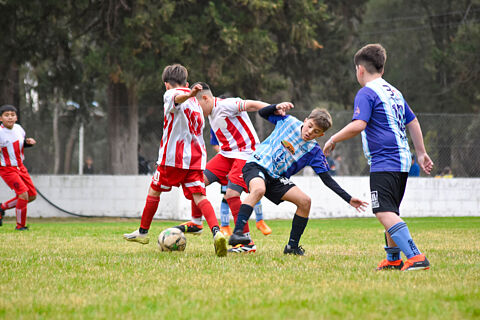 Categoria 2014