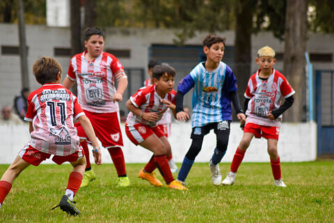 Categoria 2015