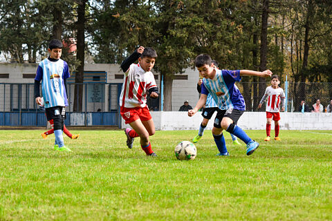 Categoria 2016