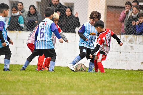 Categoria 2018