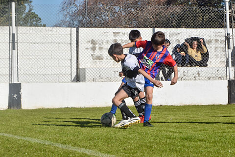 Categoria 2014