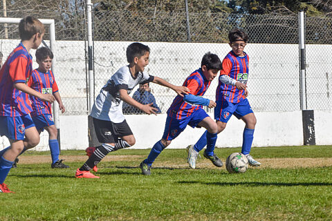 Categoria 2015