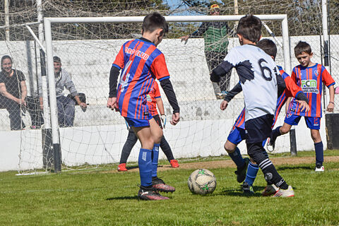 Categoria 2017