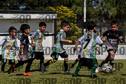 CAT 2017 -  2019 CANCHA CHICA