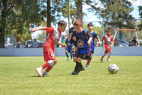 2016: Argentinos Juniors - Los Incas