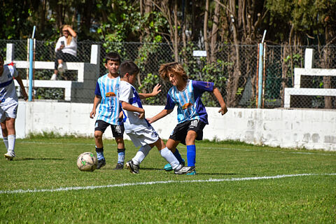 Categoria 2017