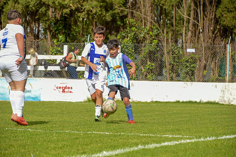 Categoria 2016