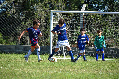 Categoria 2017