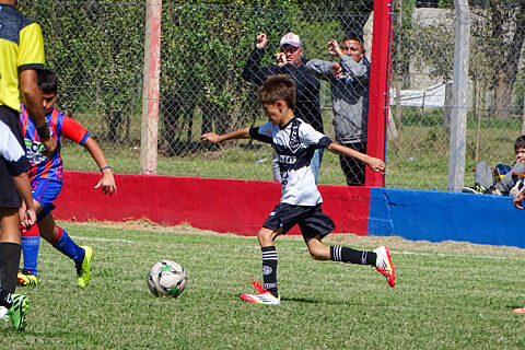 Categoria 2017