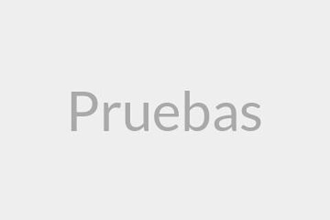 Pruebas
