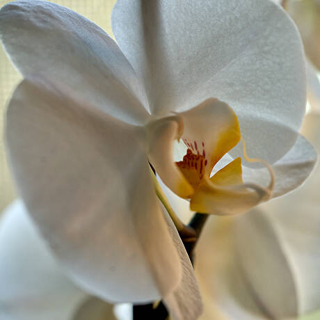 20200404-DSC02879