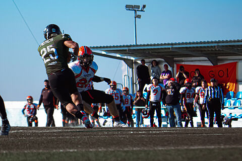 MERCENARIOS COYOTES 2024