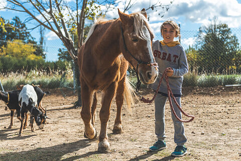 MERCADILLO CASIOPEA 2025