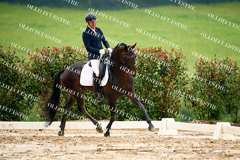 CDT 1* CENTRO ECUESTRE FINCA ABRIGOSA 19 DE MAYO.