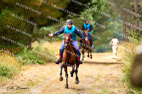 RAID CAMPEONATO DE ESPAÑA JUNIOR y CAMPEONATO GALLEGO 2024