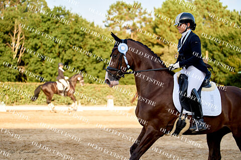 COPA GALLEGA DE DOMA CLÁSICA CENTRO ECUESTRE FINCA ABRIGOSA.