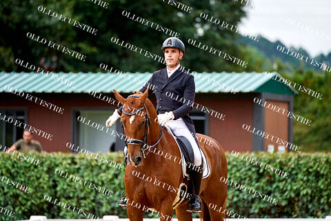 CAMPEONATO GALLEGO DE DOMA CLÁSICA CENTRO ECUESTRE FINCA ABRIGOSA.