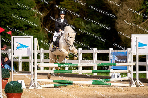 CST RSDH 30 NOVIEMBRE.