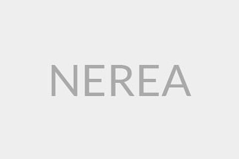 NEREA