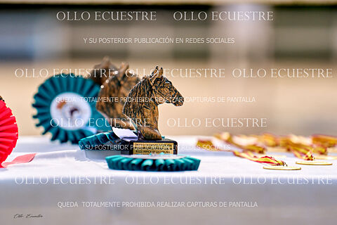 Premiados y Robados.