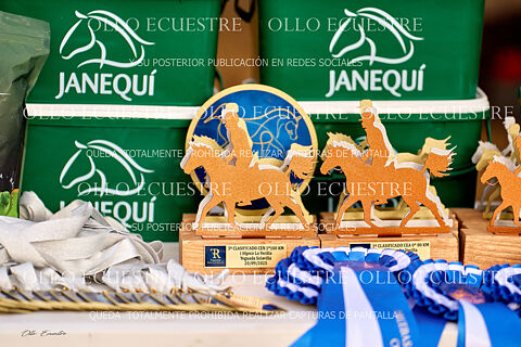PREMIADOS Y ROBADOS.
