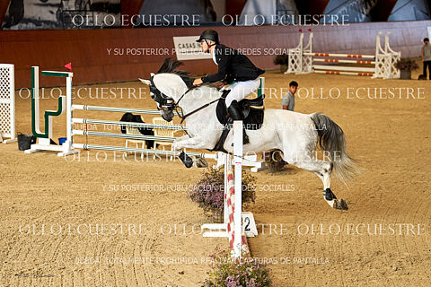 CAT 1M (20 primeros participantes aprox)