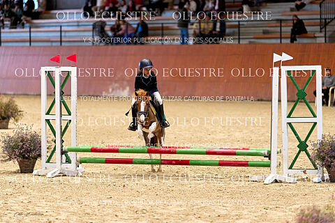 CAT PONIS A, B y C.