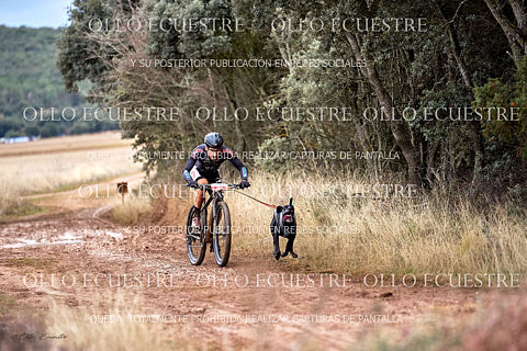 BIKEJORING RECORRIDO.