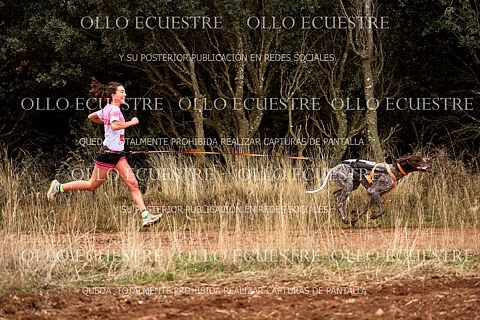 CANICROSS RECORRIDO.