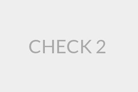 CHECK 2 