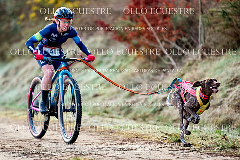 BIKEJORING SALIDA.
