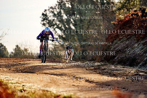 BIKEJORING RECORRIDO.