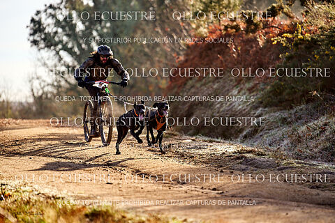 PATIN RECORRIDO.