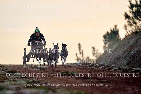 CARROS RECORRIDO.