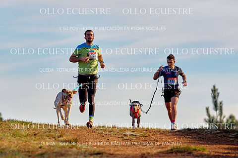 CANICROSS RECORRIDO.