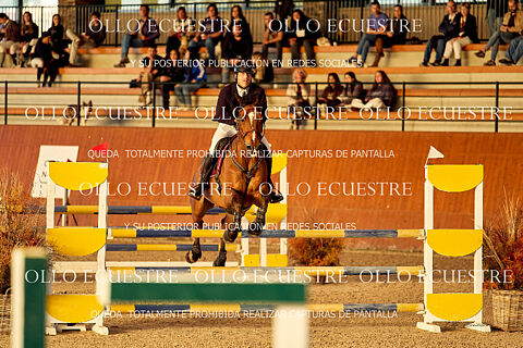 Copy of Copy of Copy of 