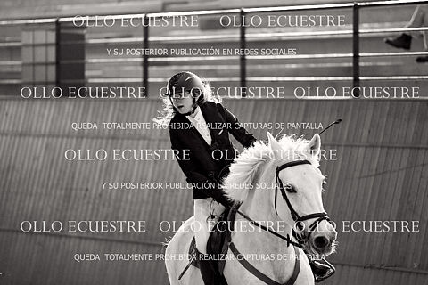 ESCUELA CASAS NOVAS (20 primeros participantes) 