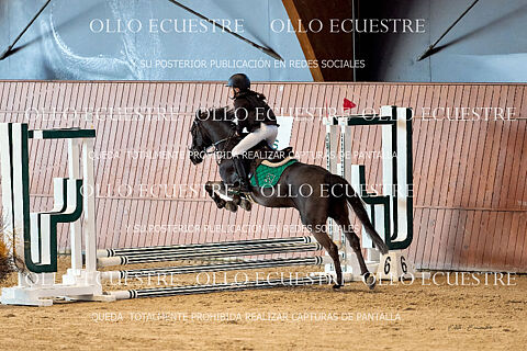 ESCUELA CASAS NOVAS. (Resto participantes)