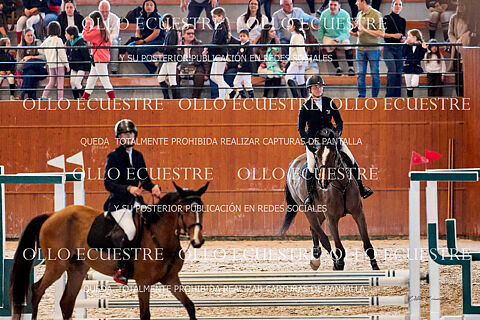 CAT 0,80 (35 primeros participantes)