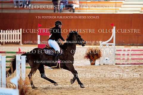 CAT 0,80 (resto participantes)