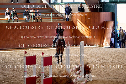 CAT 0,80. (30 primeros participantes aprox)