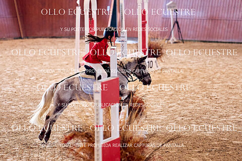 CAT PONIS A, B y C.