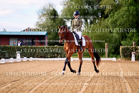 CJ PRELIMINAR 4 y 5 AÑOS y OPEN